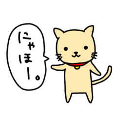 mochi_san_cat's201902