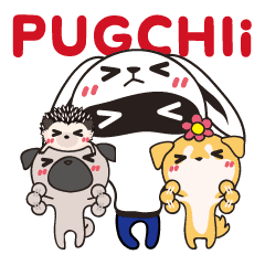 Best PUGCHIi