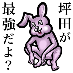 Pink bunny sticker! Tsubota Tsuboda