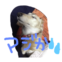 ayumi_20190228123005