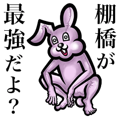 Pink bunny sticker! Tanahashi Tanabashi