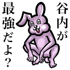 Pink bunny sticker! Taniuchi Taninai