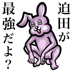 Pink bunny sticker! Sakoda Sakota Sakuta