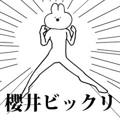 Rabbit Name sakurai 2.moves!