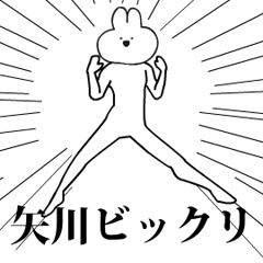 Rabbit Name yagawa.moves!