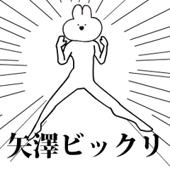 Rabbit Name yazawa 2.moves!