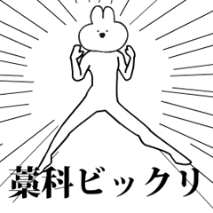 Rabbit Name warashina.moves!