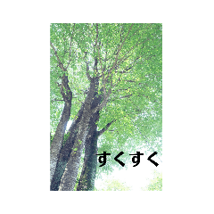 SUN_20190228090045