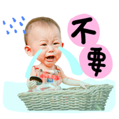 飛寶BOM