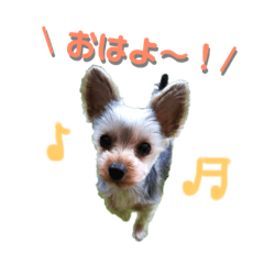 Name is NANA Chan
