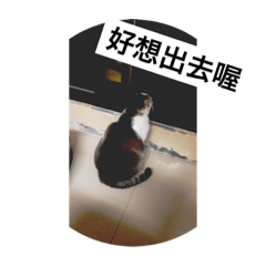 Bella_20190303191636