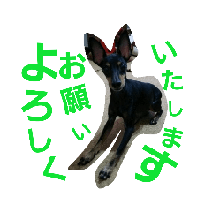 Rika_20190228154501