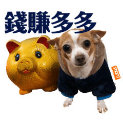 大家好！我叫Lucky