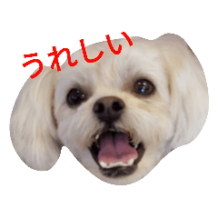 yukari_20190228185821