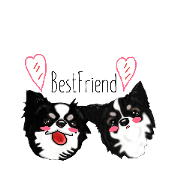 R&HF4_20190228204058