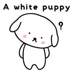 A white puppy