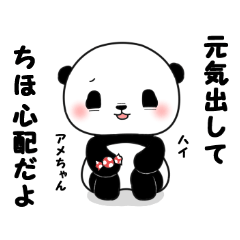 Chiho of panda