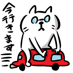 (Japanese)a cat with glasses