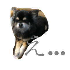 kanako_20190228215519