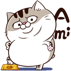 Ami - A cute little cat is so fat -5
