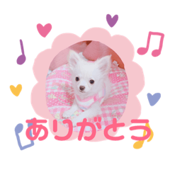 rika_20190228230807