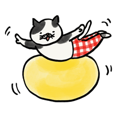 Daily Cat Sticker 3