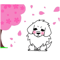 GreatPyrenees a Leo daily Spring version
