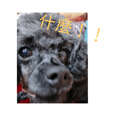 梅可表情包