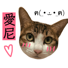 圓圓圓圓