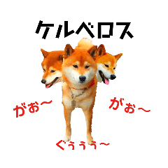 柴と猫とダックスフンド Line スタンプ Line Store 柴と猫とダックスフンド Line スタンプ Line Store