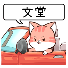Name sticker of Chacha cat "WEN TANG"