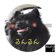 kuroP_20190301102040