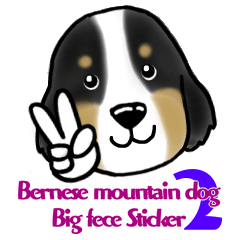Bernese Mountain Dog Big face sticker!2