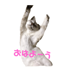 monaka_20190301191727