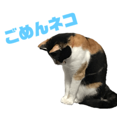 tunamayochan2