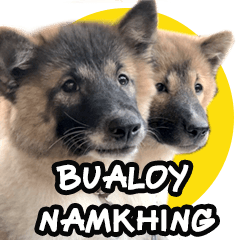 Bualoy and Namkhing