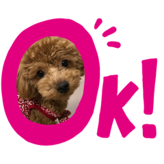 akane_20190301233221