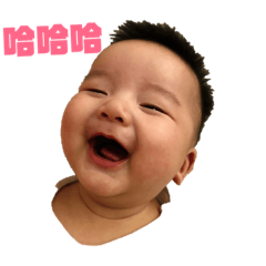 尼可拉斯凱奇鵝