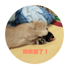 別問，你會怕肉咖