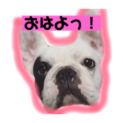 GoziGozi_20190224204555