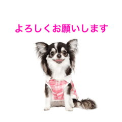 CHERRY_20190302165843