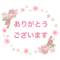 Rose flower honorific and polite