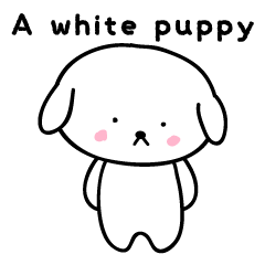 A white puppy (Wordless)