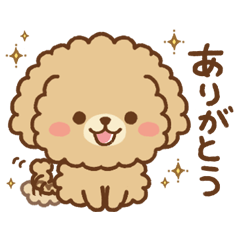 Small Toy Poodle sticker01