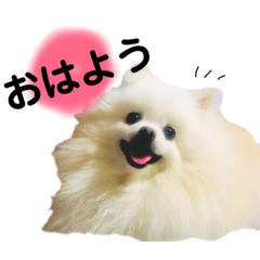 Hazuki_20190302184123