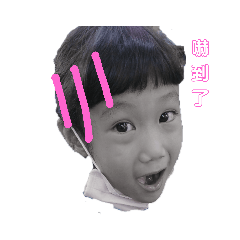 三寶家
