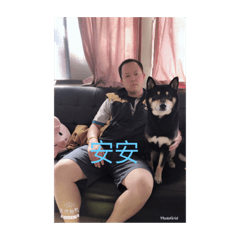 小八的家