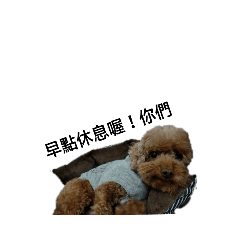 小丁語錄