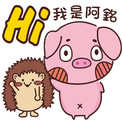 Coco Pig 2-Name stickers -A MING 2