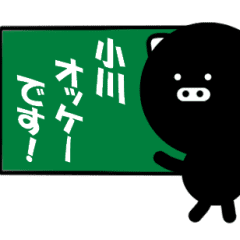 BLAPIG for OGAWA